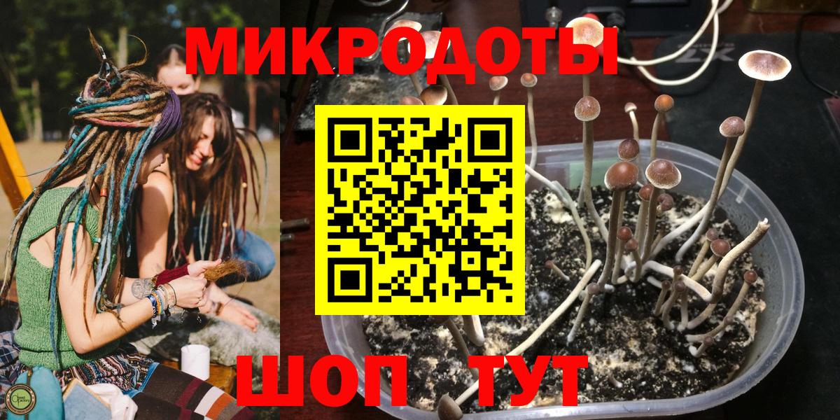 Псилоцибиновые грибы прущие грибы  Вход с VPN  Асбест  Псилоцибиновые грибы MAGIC MUSHROOMS 